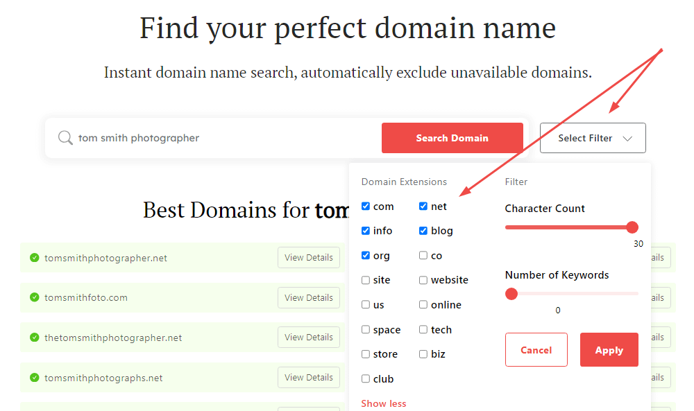 Filtering domain extensions from the domain name generator.
