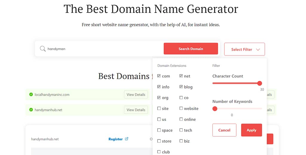 Handyman business name: DomainWheel search filters