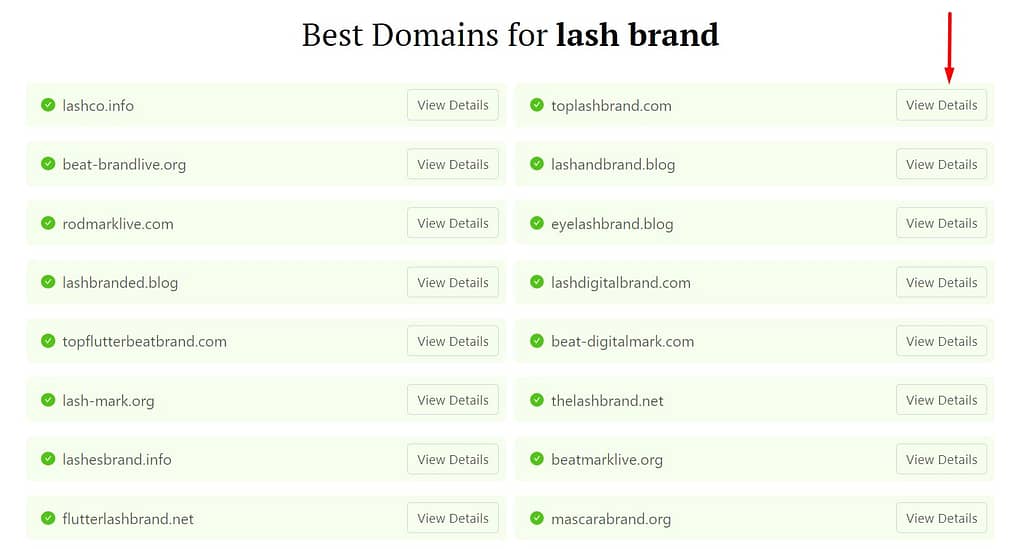 DomainWheel lash business name generator search results with an arrow pointing to the "View Details" button for a specific listing