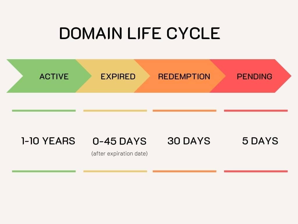 Domain life cycle