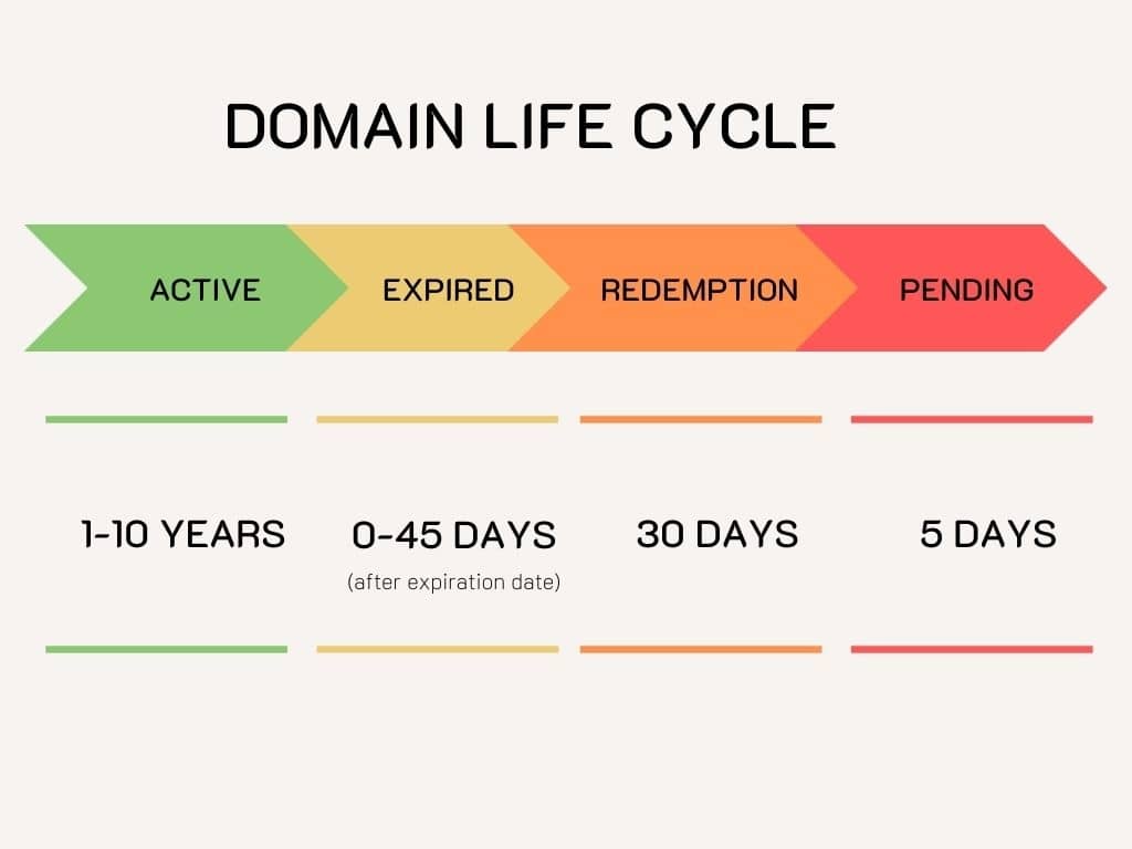 Understanding Domain Life Cycle