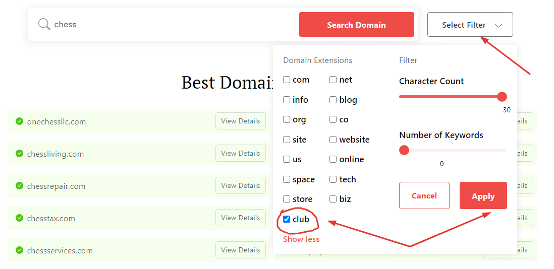 Using the DomainWheel name generator to find a .club domain name.