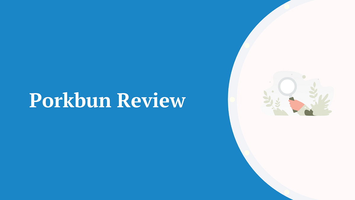 Porkbun review.