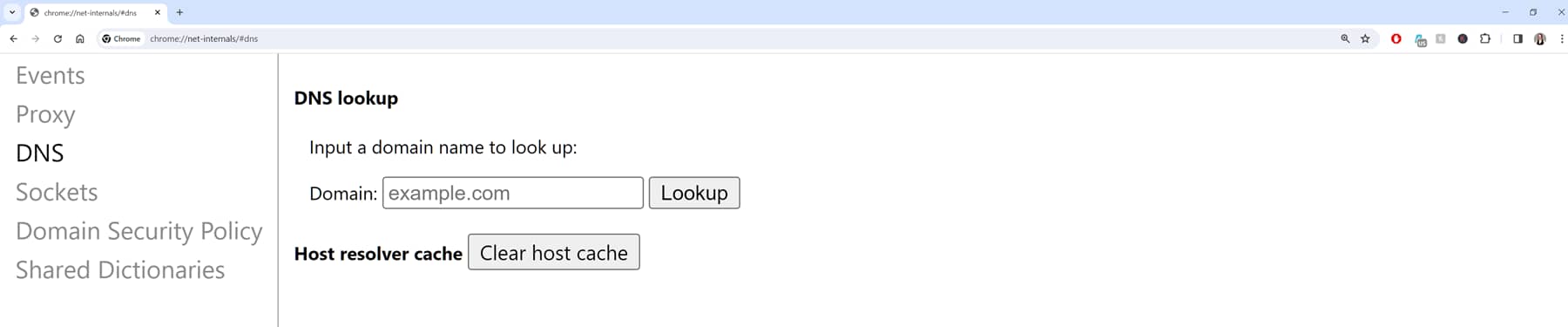 DNS flush Chrome.