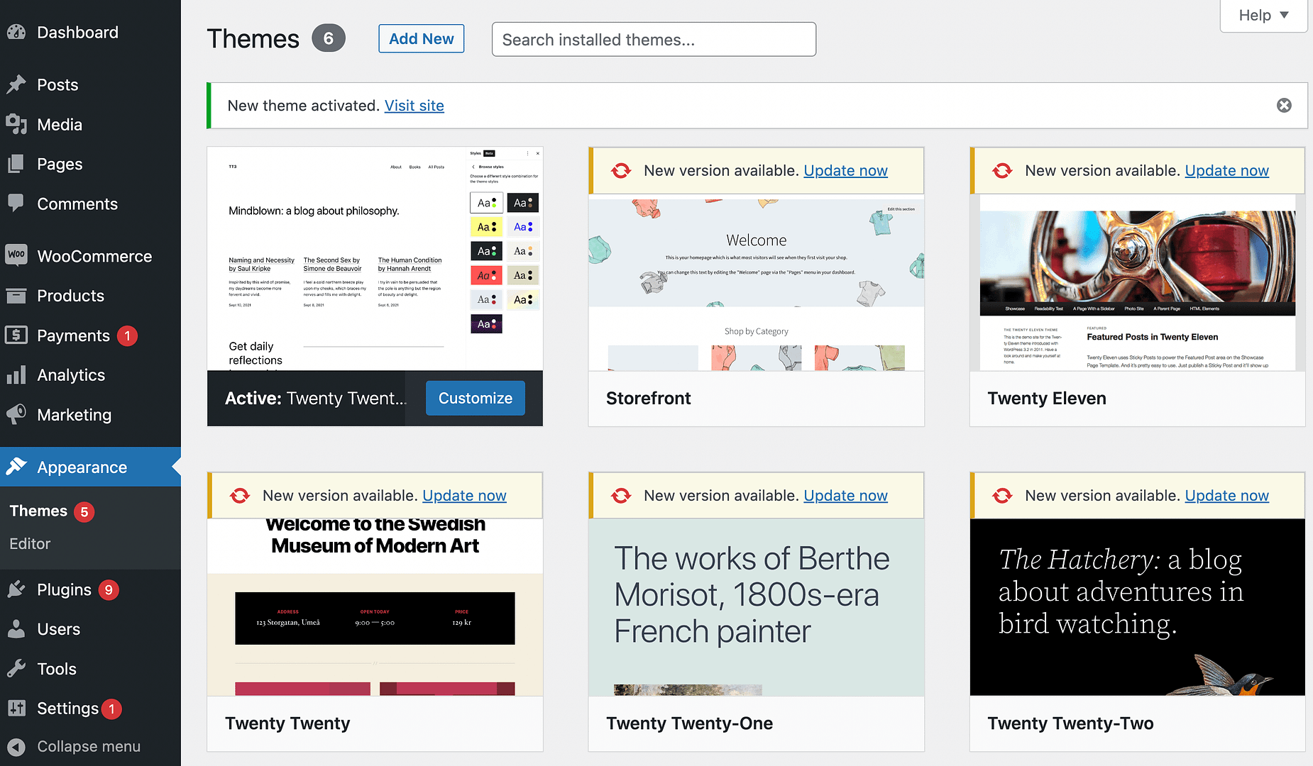 Installed WordPress themes in Appearance page.