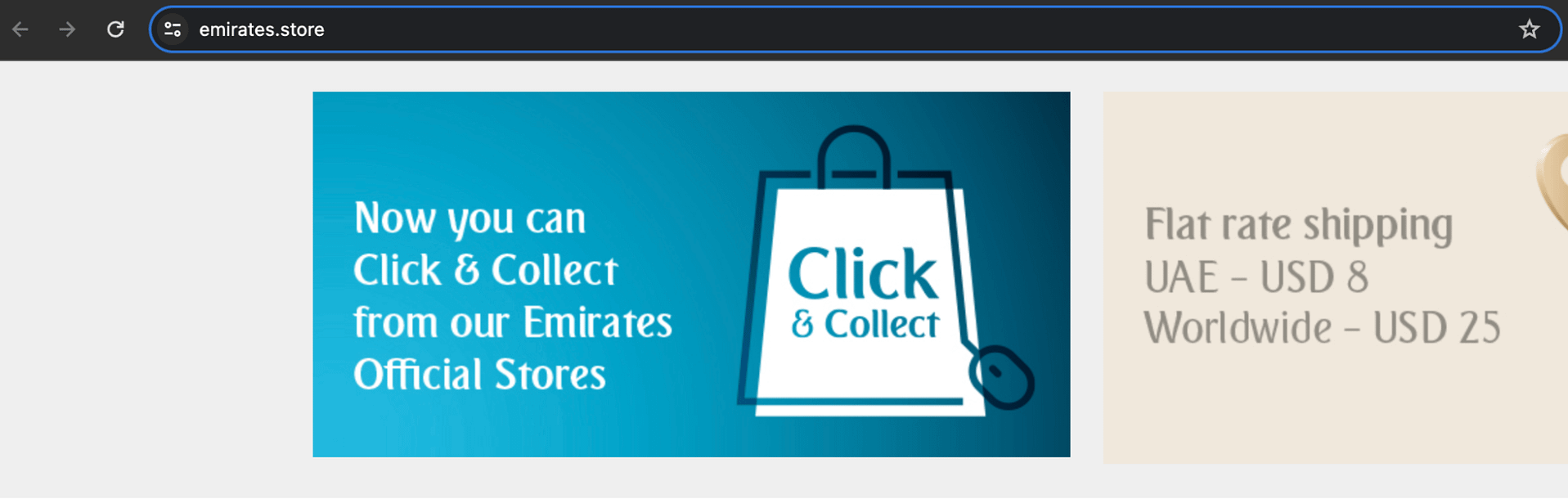 Example of emirates.store using a non-traditional TLD.