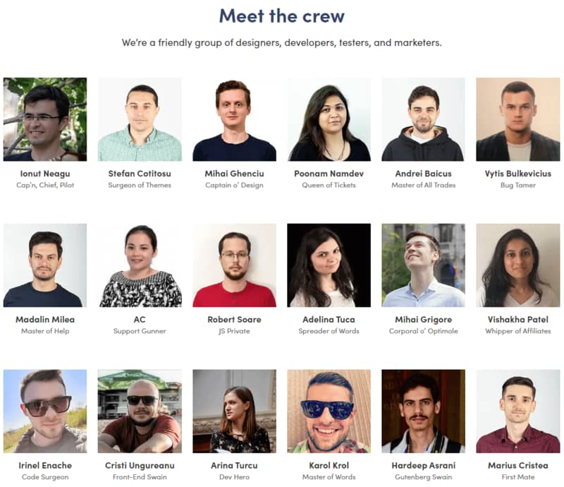 Pages on a website: ThemeIsle about us page