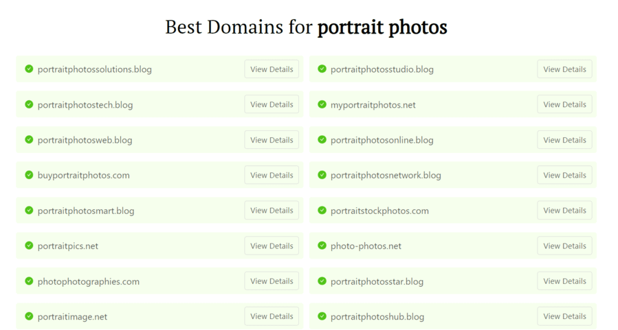 How to start a photography blog: Domainwheel blog name generator search results for "portrait photos"