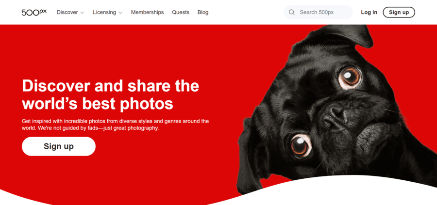 500px homepage with a "Sign up" call to action and a puppy looking directly at the audience.