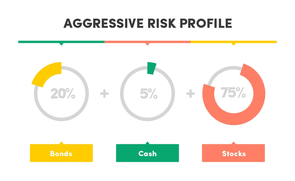 Aggressive risk profile asset allocation