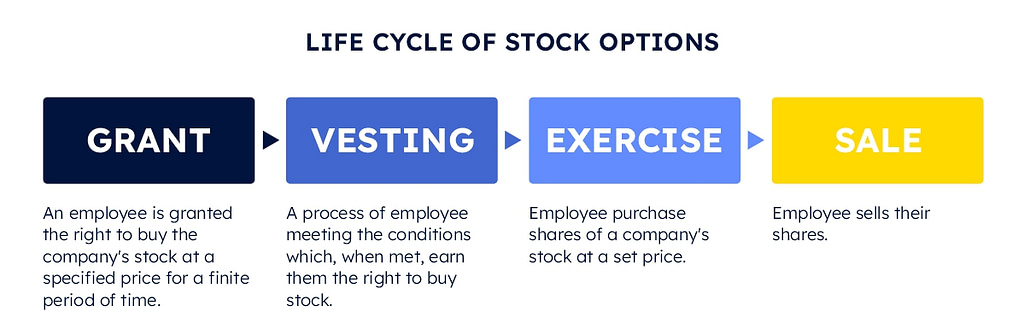 Life cycle of stock options