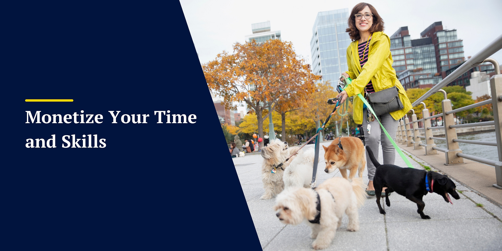 How to make $10k fast; Monetize Your Time and Skills - Dog Walking