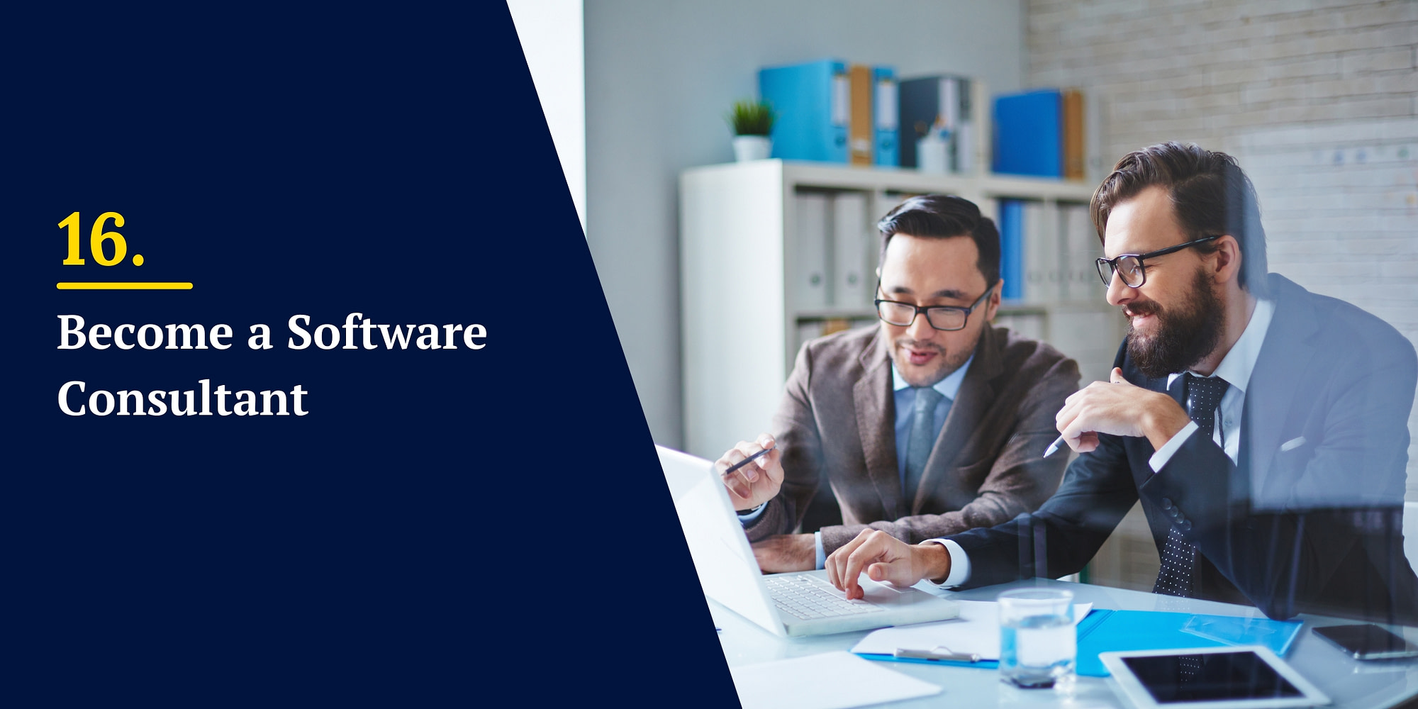 Become a Software Consultant
