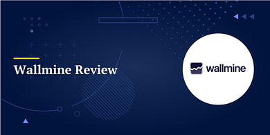 Wallmine Review