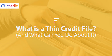 What is a thin credit file