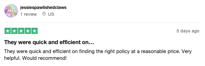 Root Insurance positive review on TrustPilot