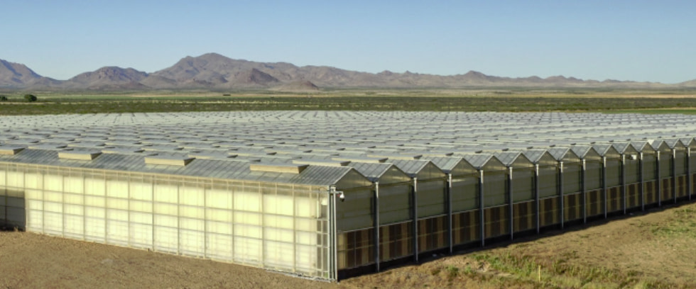 IIPR greenhouses in Arizona