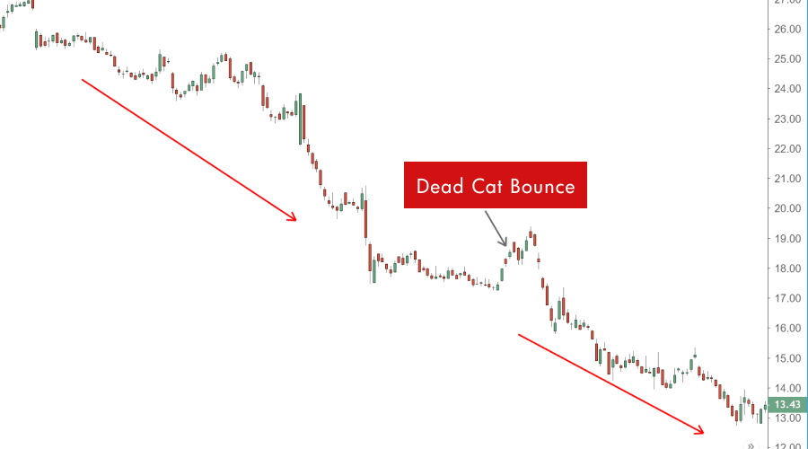 Dead cat bounce