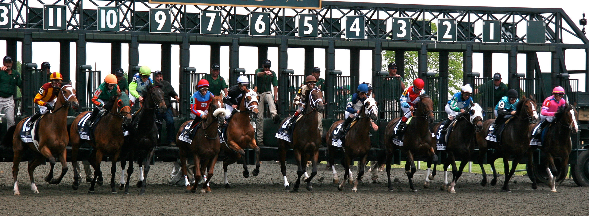 Start of horse race