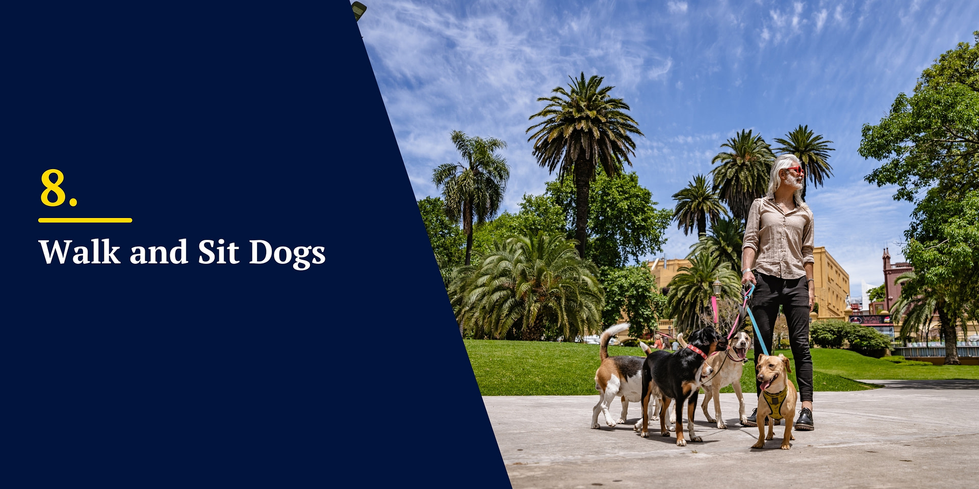 Walk and Sit Dogs