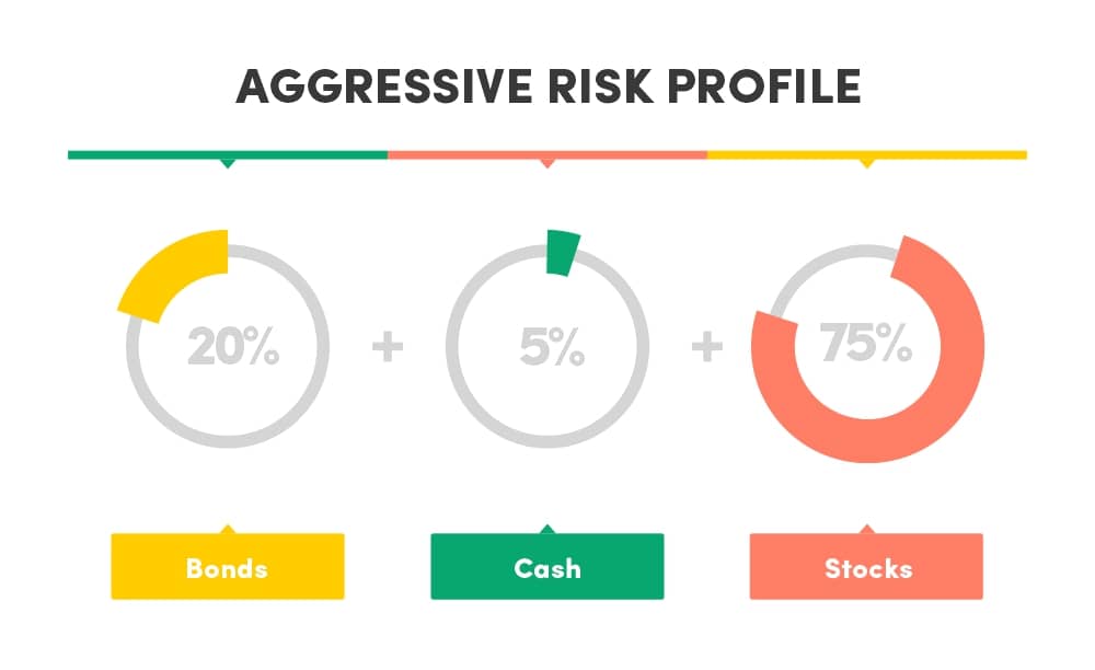 Aggressive risk profile asset allocation