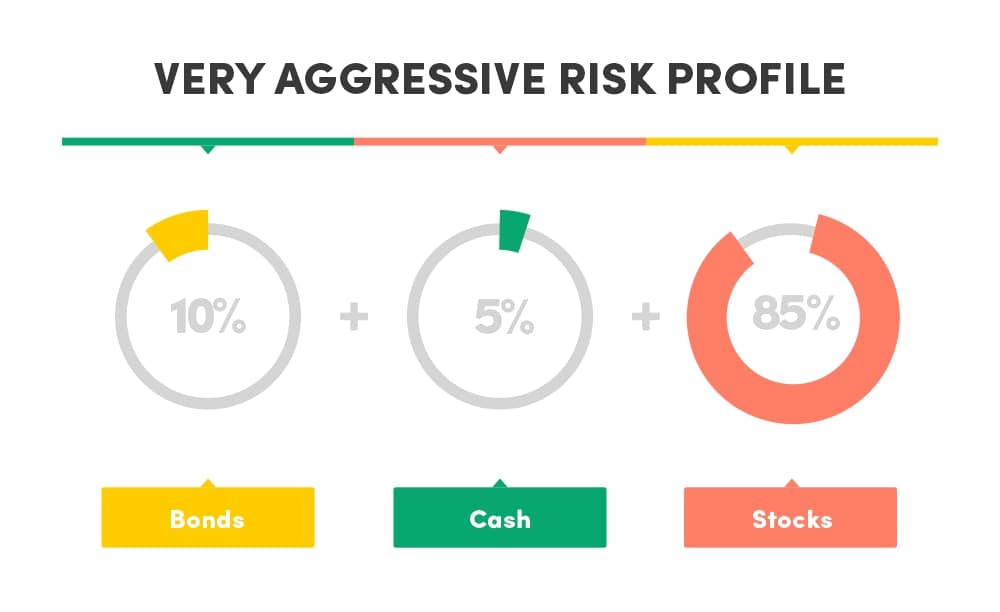 Very aggressive risk profile asset allocation
