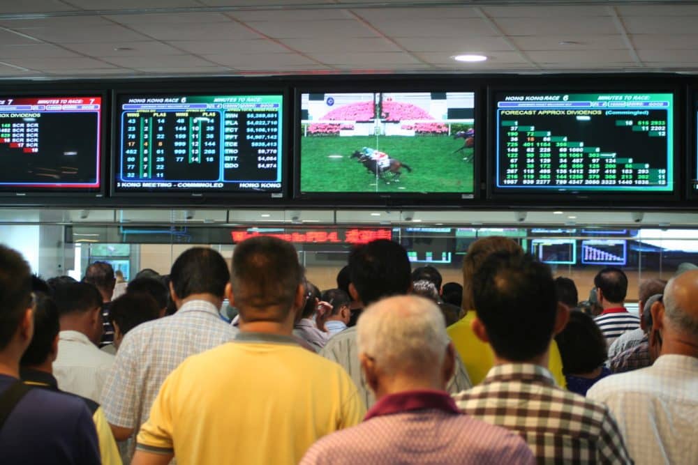 Horse racing betting