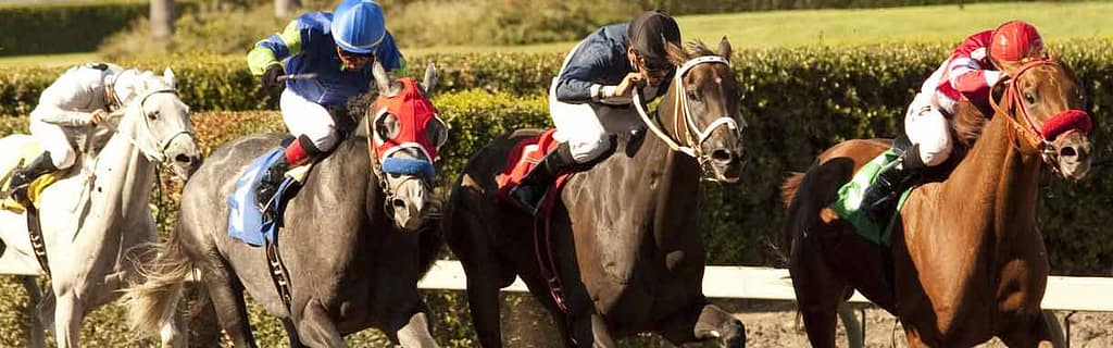 Horse race