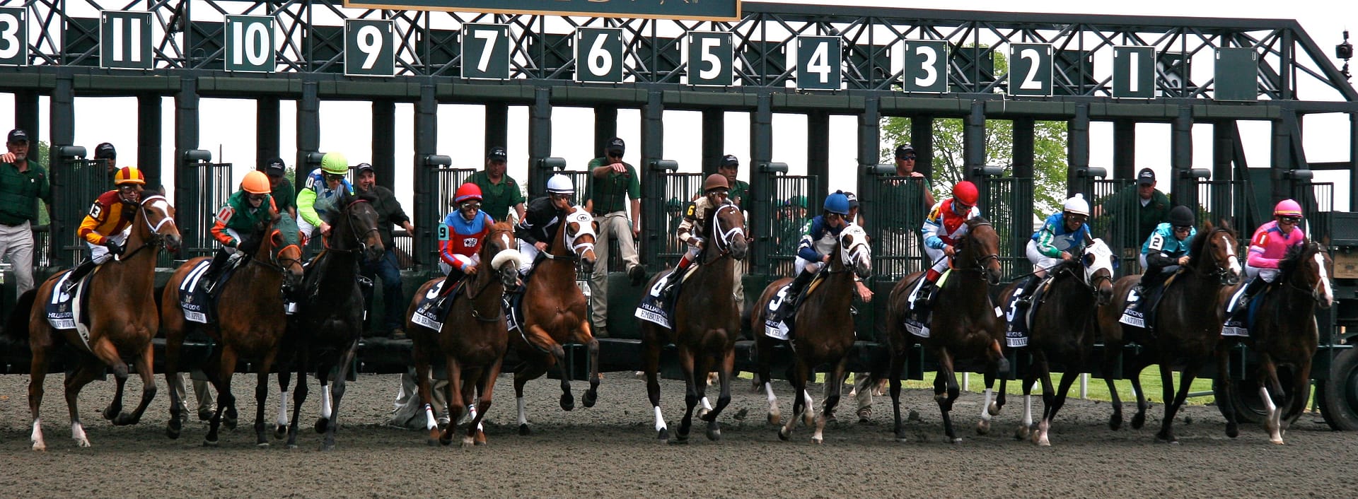 Start of horse race