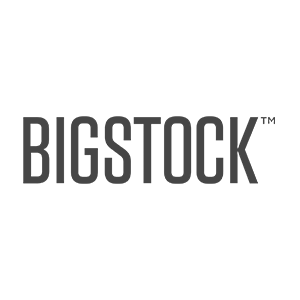 Bigstock logo