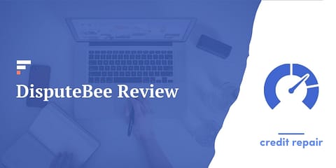 DisputeBee Review