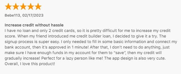 Cheese positive customer review