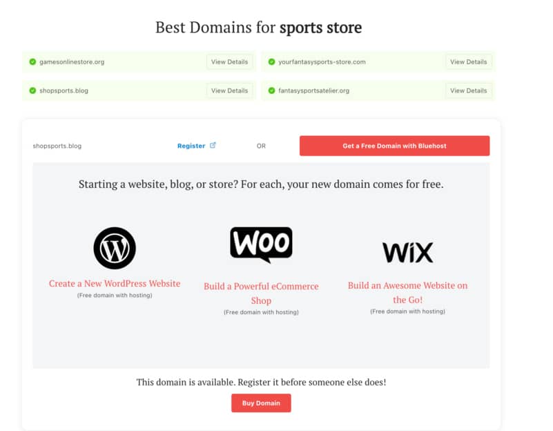 How to create an online store: DomainWheel hosting details area