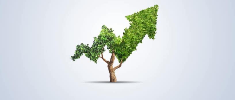 Intelligent Investing & Budgeting group image