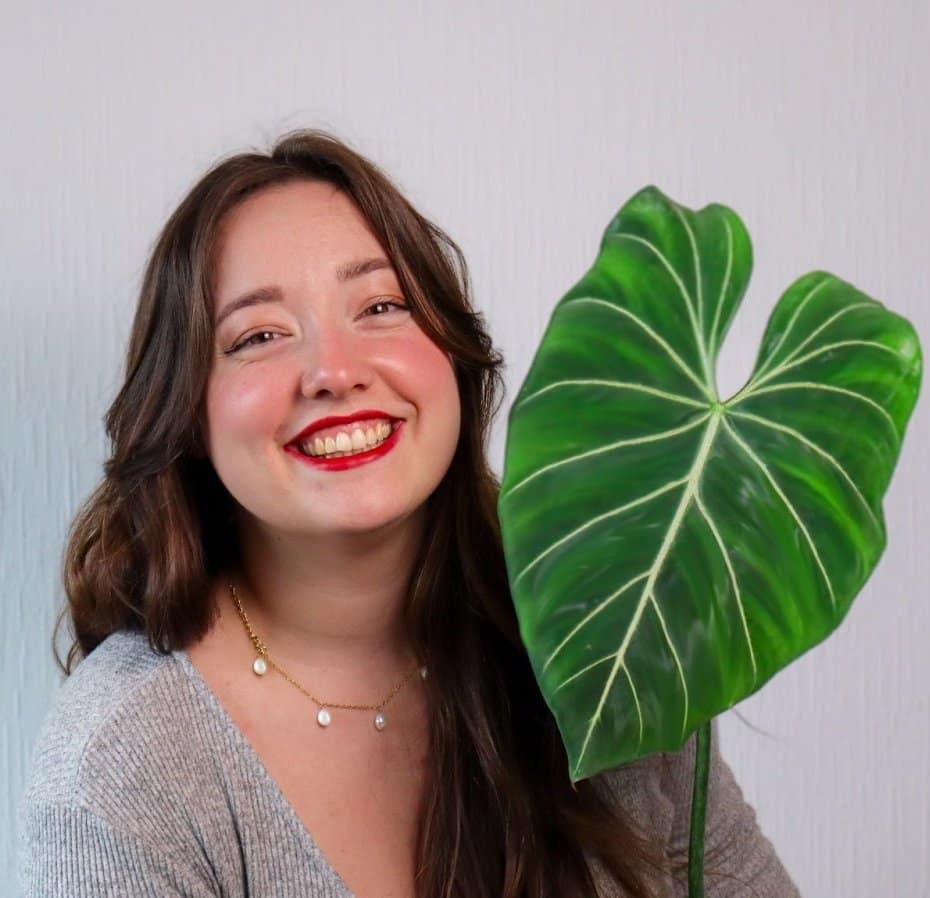 Kristina Chajdova - how to sell plants online from home