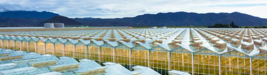 Glass House Brands Inc. - The Socal Greenhouse Farm